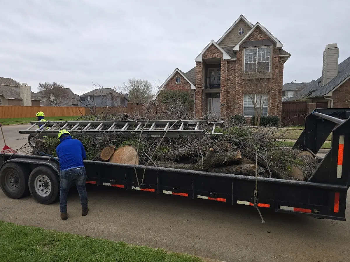 Expert Tree Pest Control with proper safety equipment in Gatewood